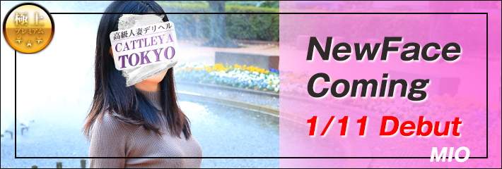 新人入店告知です