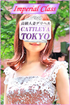 紫蘭(シラン)